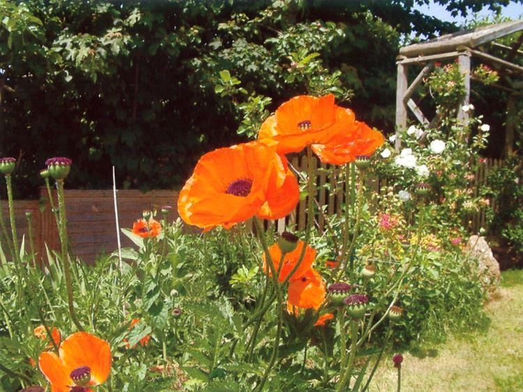 Bed and Breakfast Wheelwrights Abbotsbury Exteriér fotografie