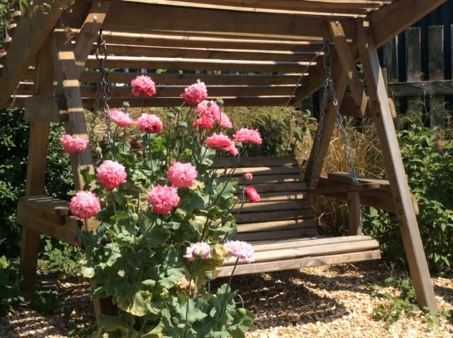 Bed and Breakfast Wheelwrights Abbotsbury Exteriér fotografie