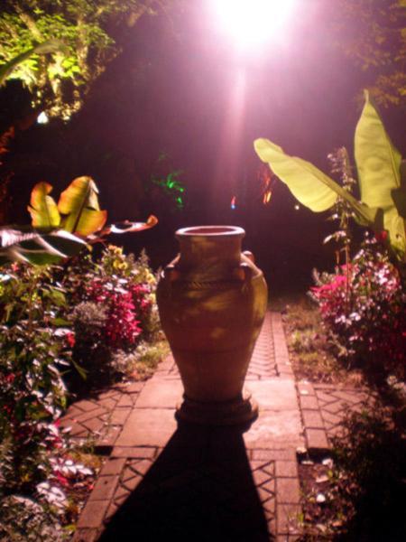 Bed and Breakfast Wheelwrights Abbotsbury Exteriér fotografie